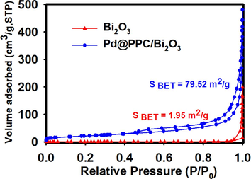 N2 sorption isotherm for pure Bi2O3 and Pd@PPC/Bi2O3 photocatalyst.