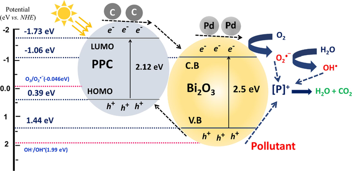 Proposed schematic representation during the photodegradation and charge transfer at the surface of Pd@PPC/Bi2O3 nanocomposite photocatalyst.