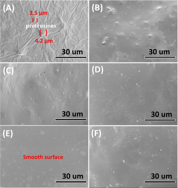 SEM images of the membranes made of the PU polymers that were filled with MPY modified with various amount of NDZ-201: (A) PY/PU, (B) 0.1MPY/PU, (C) 0.2MPY/PU, (D) 0.3MPY/PU, (E) 0.4MPY/PU and (F) 0.5MPY/PU.