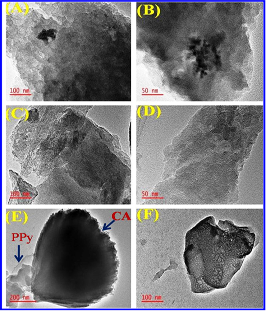 (a – b): TEM images of CA. (c – d): TEM images of PPy (e – f): TEM images of CA/PPy.