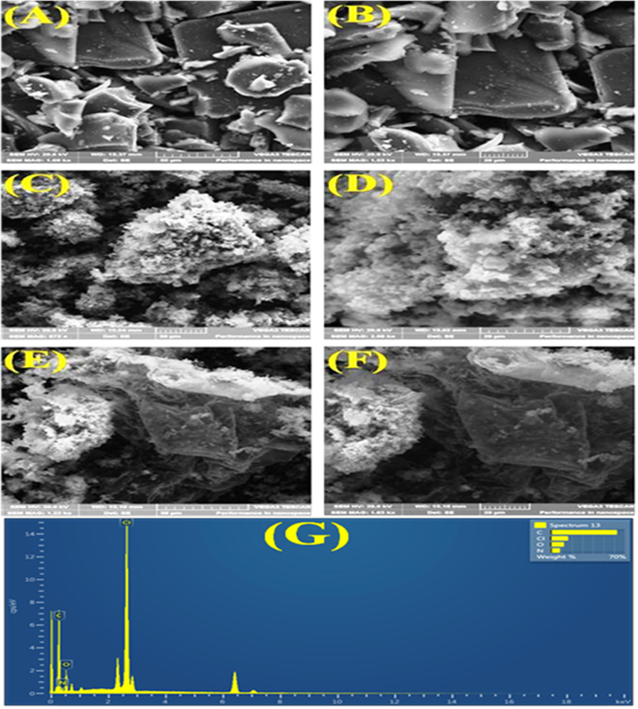 (a – b): SEM images of CA. (c – d): SEM images of PPy. (e – f): SEM images of CA/PPy. (G – G1): EDAX spectra showing the elemental composition of CA/PPy.