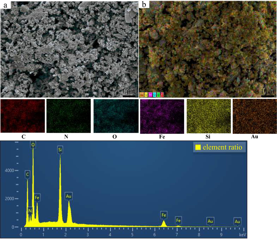 SEM images of the EIP-β-CD adsorbent and element distribution ratio. (a.SEM images. b.Color element distribution images.).