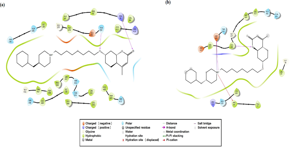 The 2D ligand C3-receptors interactions diagrams, CYP450 (a), EGFR (b).