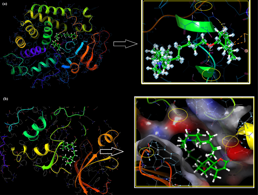 The active binding sites of receptors CYP450 (a), EGFR (b), and the interactions with C3.