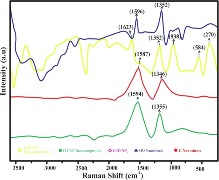 Raman spectra of the synthesized G nanosheets, GO nanosheets, CdO NPs, G-CdO, and CdO-GO nanocomposites.