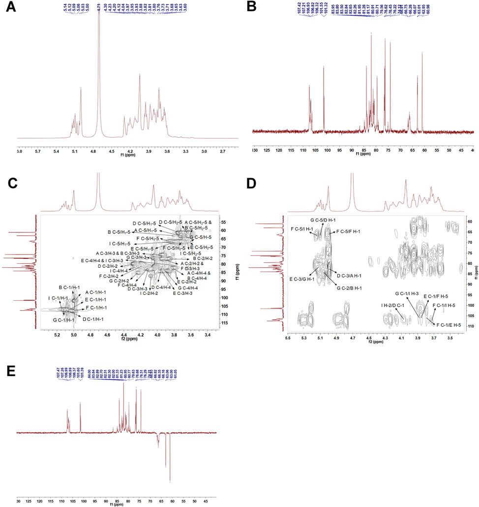NMR analysis of AQP70-2A. (A) The 1H NMR spectrum of AQP70-2A. (B) The 13C NMR spectrum of AQP70-2A. (C) The HSQC spectrum of AQP70-2A. (D) The HMBC spectrum of AQP70-2A. (E) The DEPT-135 NMR spectrum of AQP70-2A.