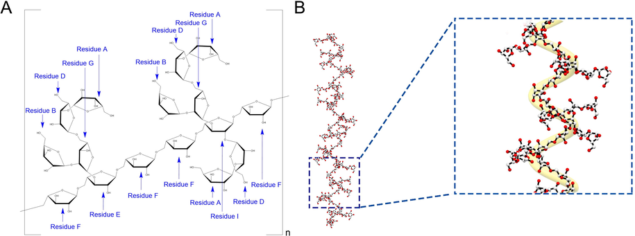 (A) The putative structure of AQP70-2A. (B) The possible stretching state of AQP70-2A in 0.1 M NaCl solution.