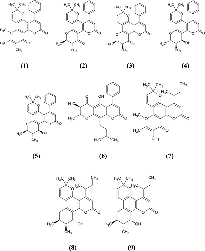 The structure of coumarins.