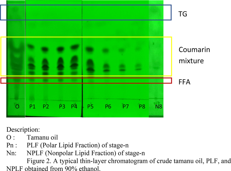 A typical thin-layer chromatogram of crude tamanu oil, PLF, and NPLF obtained from 90% ethanol.