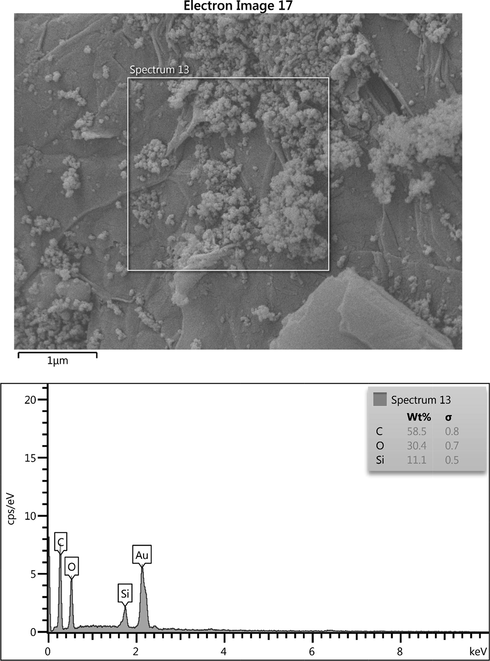 The EDX analysis of the synthesized GO/SiO2 nanocomposite.