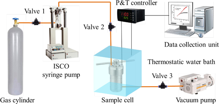 Schematic diagram of coal-ScCO2 interaction system.