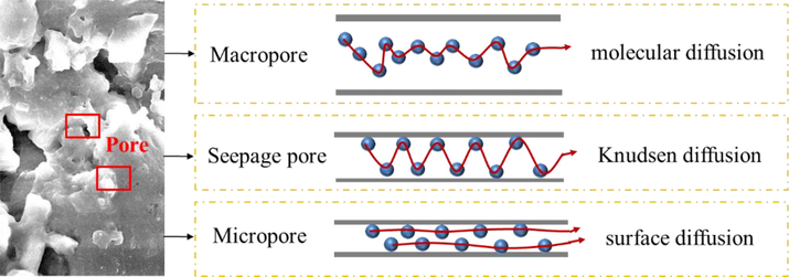 Mechanisms of CH4, CO2 and water vapor diffusion in the coal.