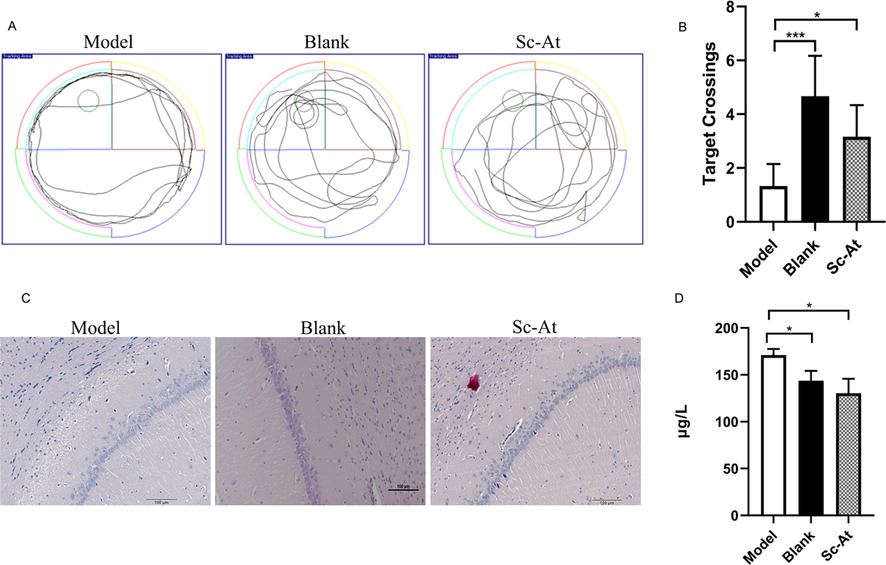 (A) In MWM test, the motion trajectories of three groups of rats. (B) In MWM test, the times of crossing the platform of the three groups of rats were compared (n = 6, ***P < 0.001, *P < 0.05). (C) The results of H & E staining in the hippocampus of rat brain tissue. (D) Expression of TNF-α in rat brain tissue. (n = 3, *P < 0.05).