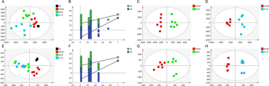 Results of metabolomic analysis of brain tissue based on liquid mass spectrometry. ESI+ (A) PLS-DA score plots. (B) PLS-DA analysis of 200 permutation test (C) OPLS-DA score plots Model vS Blank. (D) OPLS-DA score plots Model vS Sc-At. ESI- (E) PLS-DA score plots. (F) PLS-DA analysis of 200 permutation test (G) OPLS-DA score plots Model vS Blank. (H) OPLS-DA score plots Model vS Sc-At.