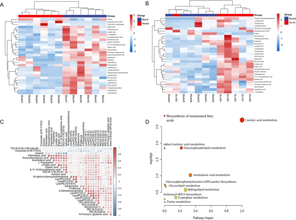 Unsupervised clustering heat map of the differential metabolites between (a) the model and the blank group, (b)the blank group and the sc-at group (c)correlation analysis between different metabolites (d) kegg pathway analysis of brain samples collected from ad rats.