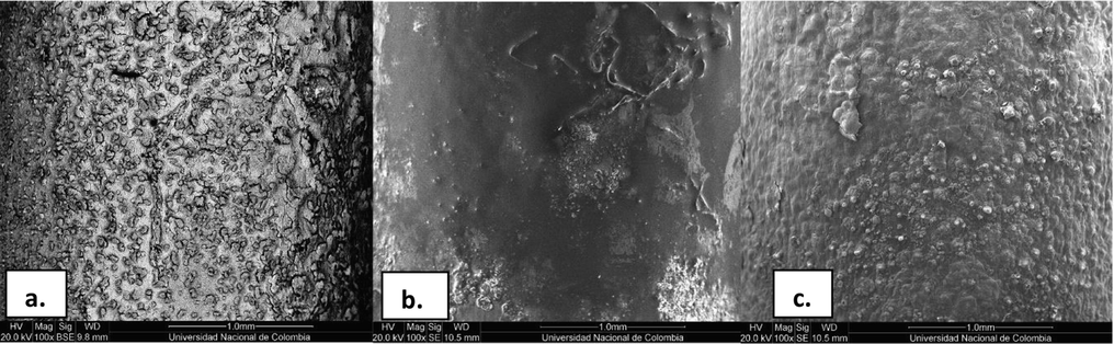 SEM micrographs at 1.0 mm of carbon steel surface (a) without inhibitor, (b) with CH15 and (c) with CH16 after 30 min of immersion in 1.0 M HCl. The mass of chalcone on steel was of 2.9 mg.