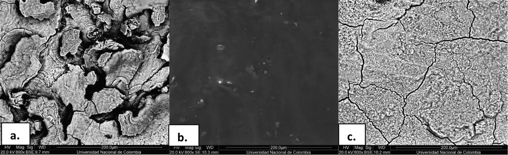 SEM micrographs at 200 μm of carbon steel surface (a) without inhibitor, (b) with CH15 and (c) with CH16 after 30 min of immersion in 1.0 M HCl. The mass of chalcone on steel was of 2.9 mg.