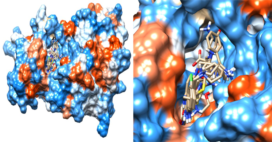 Superimposed model of the eight selected DrugBank Hit in the active site of the target.