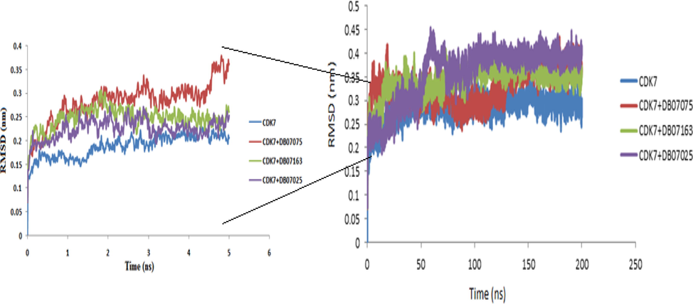 The plot of the root - mean - square deviation (RMSD) of the receptor backbone vs simulation duration for a solvated CDK7 receptor complexes with DB07075, DB07163 and DB07025 during a 200 ns molecular dynamics simulation. The 5 ns simulation graph is shown in the zoom panel on the left side.