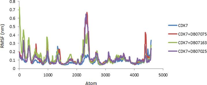 RMSF values of CDK7 Kinase alone and in combination with DB07075, DB07163 and DB07025 were displayed versus atom number.