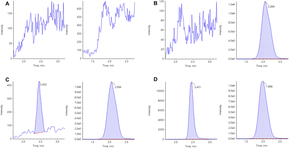 Multiple reaction monitoring LC-MS/MS chromatograms of GSK-650394 (left) and ondansetron (right) obtained by deproteinization of blank plasma (A), zero calibrator (B), LLOQ (C), and rat plasma sample at 15 min after oral administration of GSK-650394 at a dose of 2 mg/kg (D).