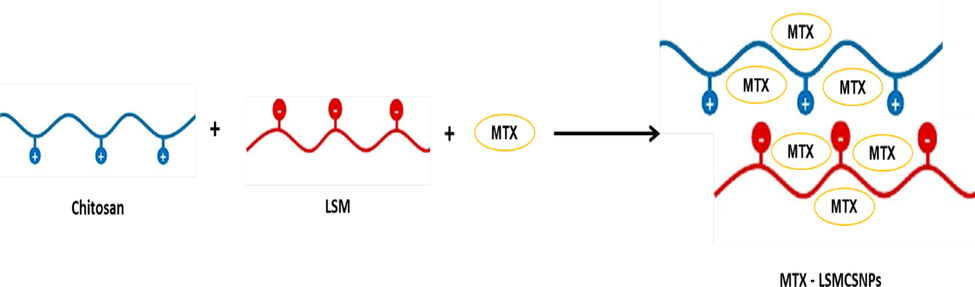 Schematic representation of PEC formation between MTX loaded LSM and CS NPs.