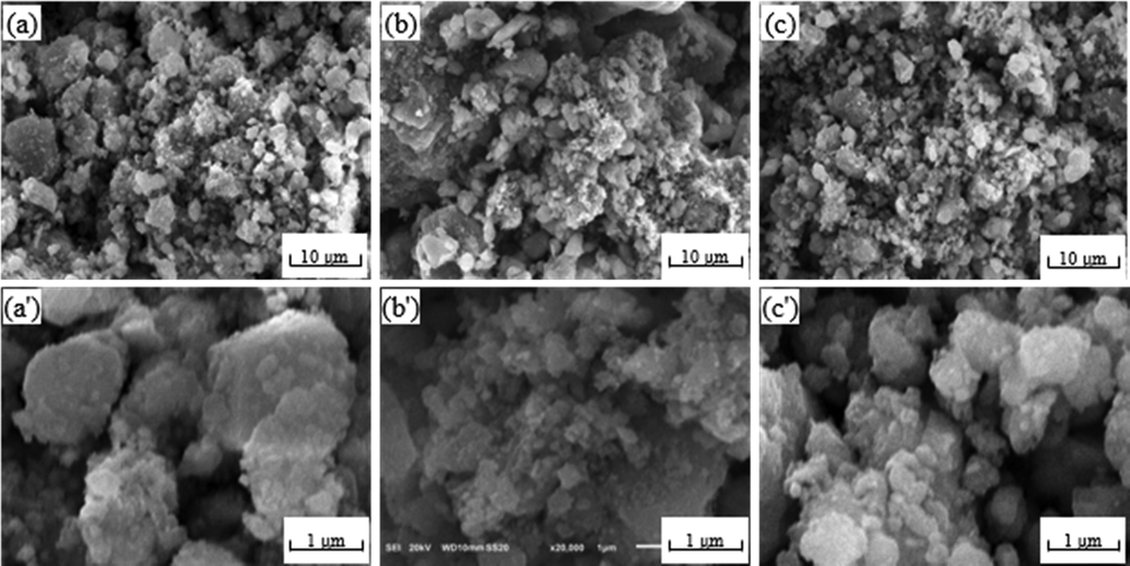 SEM images of different CuAl2O4 spinel after the reaction (a, a') So-OH; (b, b') So-NO; (c, c') So-O.