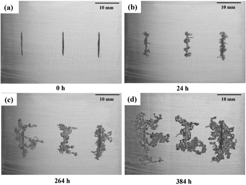 Effect of filiform corrosion (Kousis and Keil, 2022).