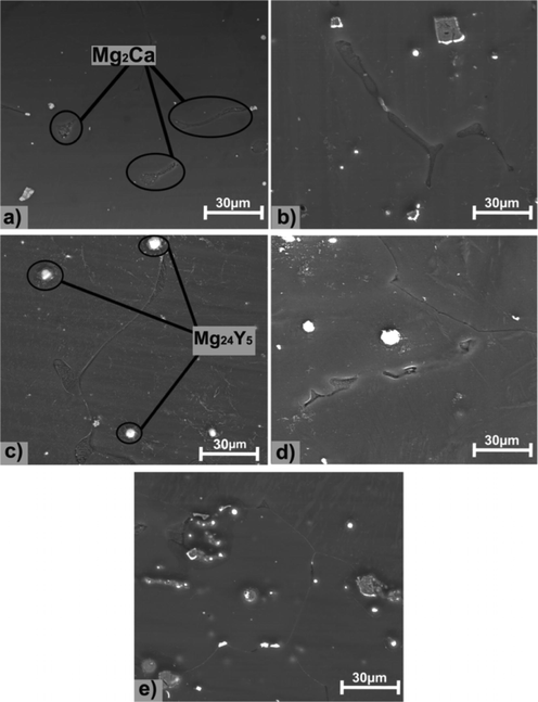 SEM images of Mg alloy before corrosion test (a) Mg-0.5Ca-0.5Y, (b) Mg-0.5Ca-1.0Y, (C) Mg-0.5Ca-1.5Y, (d) Mg-0.5Ca-2.0Y, (e) Mg-0.5Ca-3.0Y.