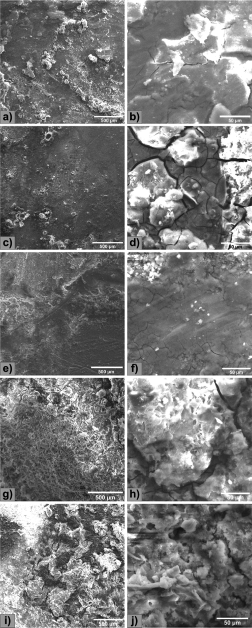 SEM images of Mg alloy after corrosion test (a,b) Mg-0.5Ca-0.5Y, (c,d) Mg-0.5Ca-1.0Y, (e,f) Mg-0.5Ca-1.5Y, (g,h) Mg-0.5Ca-2.0Y, (i,j) Mg-0.5Ca-3.0Y.