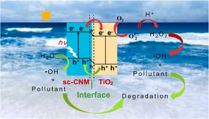 Photocatalytic degradation mechanism (Zhang et al., 2022).