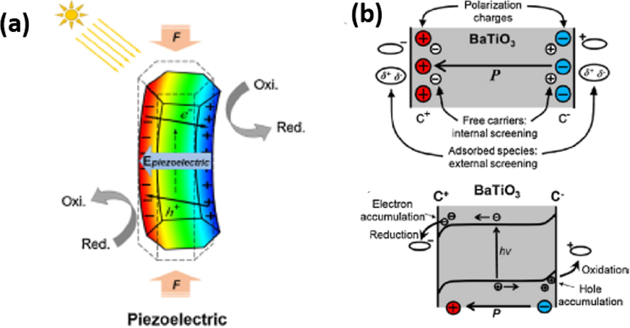 Piezocatalytic degradation principle (Liang et al., 2019).