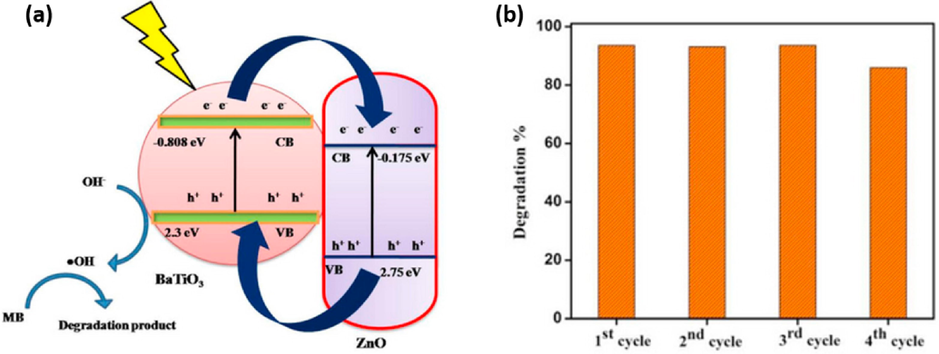 (a) Photocatalytic degradation mechanism of MB using BaTiO3/ZnO and (b) re-usability of BaTiO3/ZnO (Kappadan et al., 2020b).