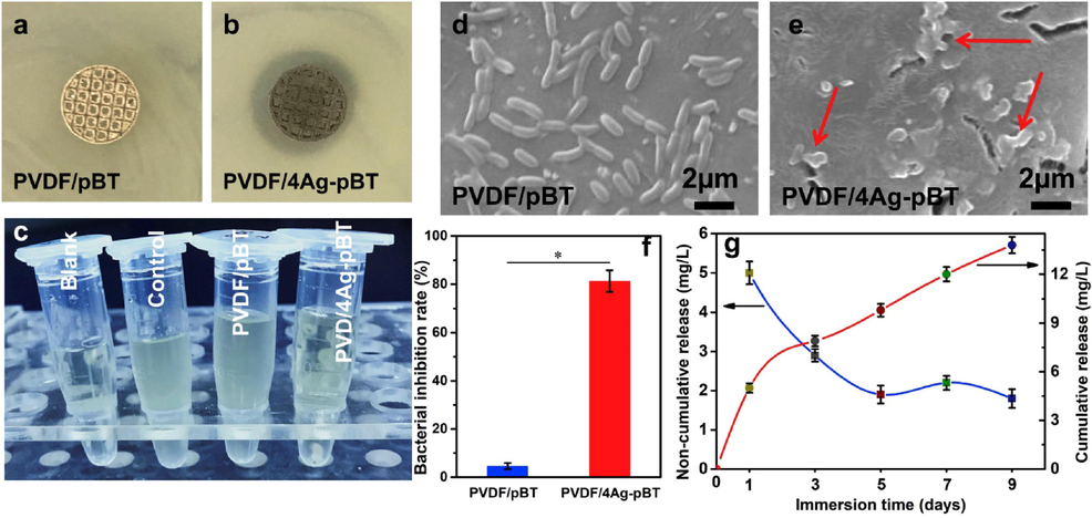 (a-b) Photographs of zone of inhibition, (c) turbidity test, (d-e) SEM images of bacteria, (f) bacterial zone of inhibition rate and (g) cumulative or non-cumulative of silver ion concentration released by PVDF/4Ag-pBT (Shuai et al., 2020a).