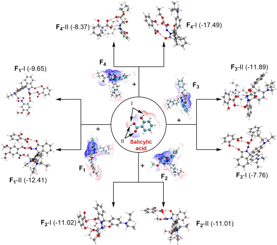 The model of probes F1-F4 with salicylic acid.