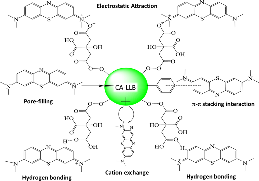 Prediction of MB adsorption mechanism on CA-LLB.