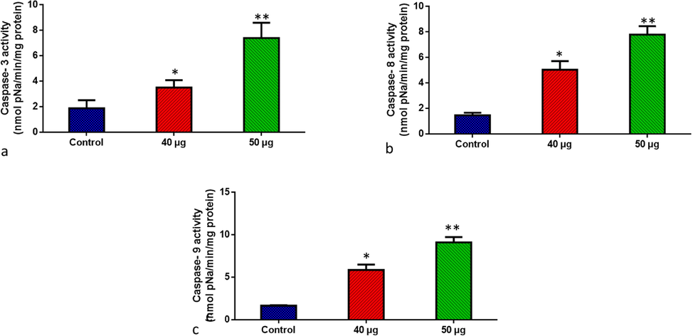 SnNiCoO2 NPs induced pro-apoptotic response Caspase −3, 8, and 9 in the MOLT-4 cell line. The colorimetric quantification of active Caspase-3 (a), Caspase-8 (b), and Caspase-9 (c) in MOLT-4 cell line after 24-h treatment of 40 and 50 µg/ml concentration of SnNiCoO2 NPs. The data were presented as activity of caspase – 3, 8, and 9 enzymes and mean ± SEM. n = 6, *p < 0.05 compared to the “Control” group and **p < 0.005 compared to the “Control” group.