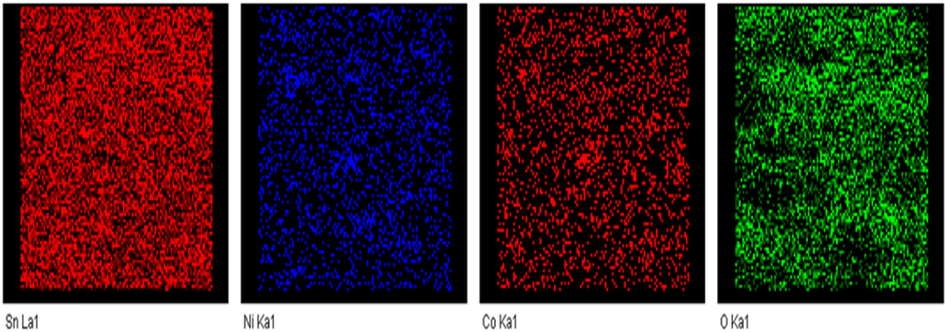 Elemental mapping spectrum of SnNiCoO2 NPs.