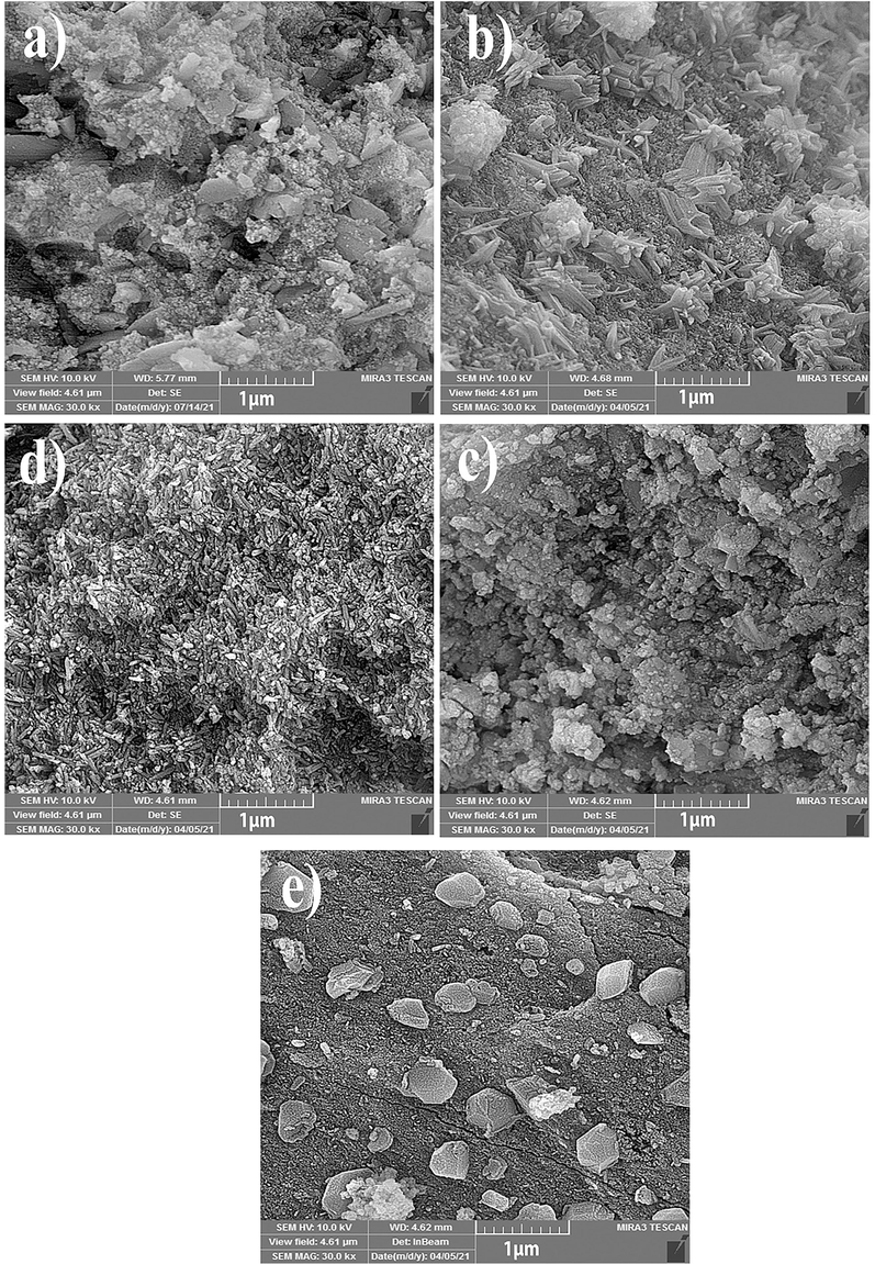 The FESEM micrographs of (a) 25Ni-Al2O3 catalyst, 25Ni-5Er-Al2O3 catalyst with different fabrication method ((b) ultrasonic, (c) co-precipitation, (d) hydrothermal, and microwave (e)).