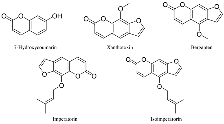 Structures of coumarins of Radix Angelicae dahuricae.