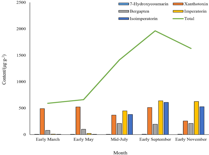 Variation trend of coumarins content in Radix Angelicae dahuricae at different periods by LC-MS.