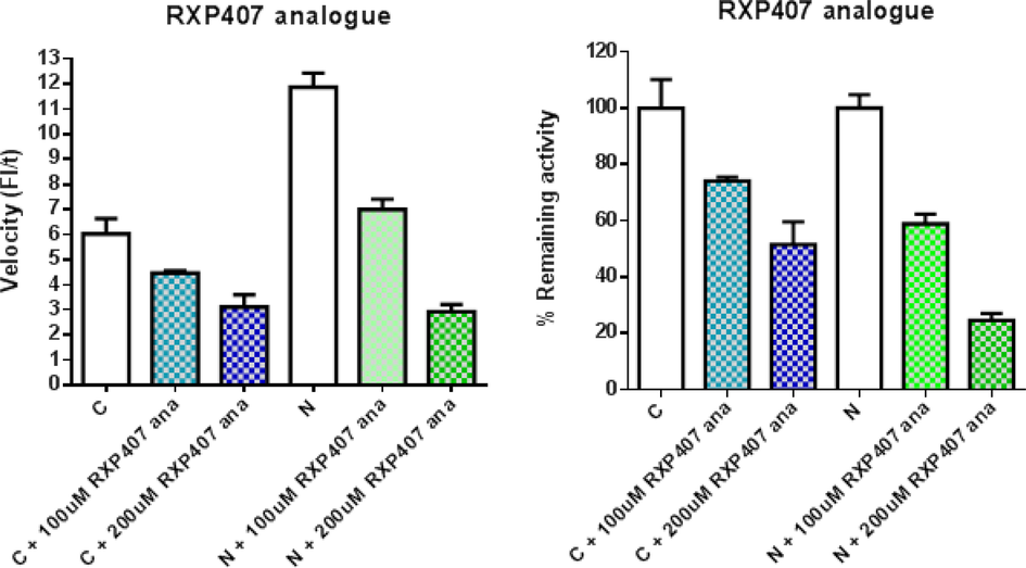 Inhibition screen of (S,R,S,S)-Z-RXP407 (RXP407ana) and their effect on N- and C-domain activity.