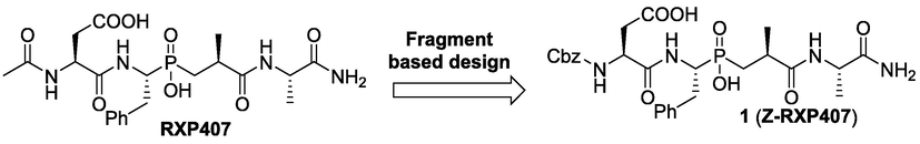 Chemical modification strategy for design of a novel ACE inhibitor Z-RXP407.