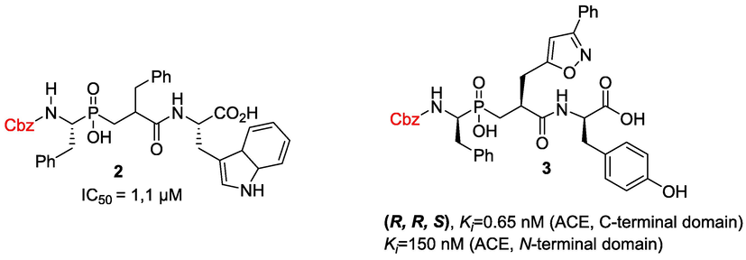 Representative examples of Cbz-phosphinic peptide inhibitors of angiotensin converting enzyme (ACE).