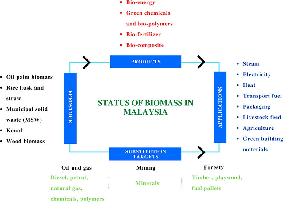 Status of biomass in Malaysia (Tang, 2014).