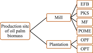 Production site of oil palm biomass.