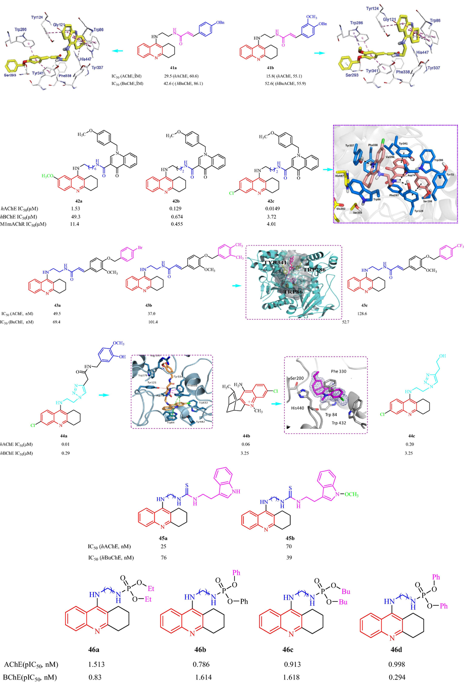 Structural formula tacrine-quinoline analogs 41–46.