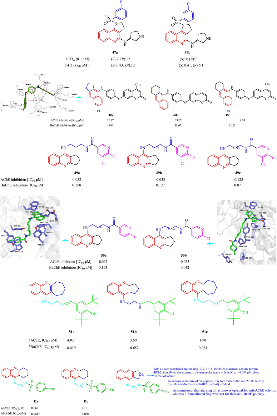 Structural formula tacrine-quinoline and related analogs 47–52.