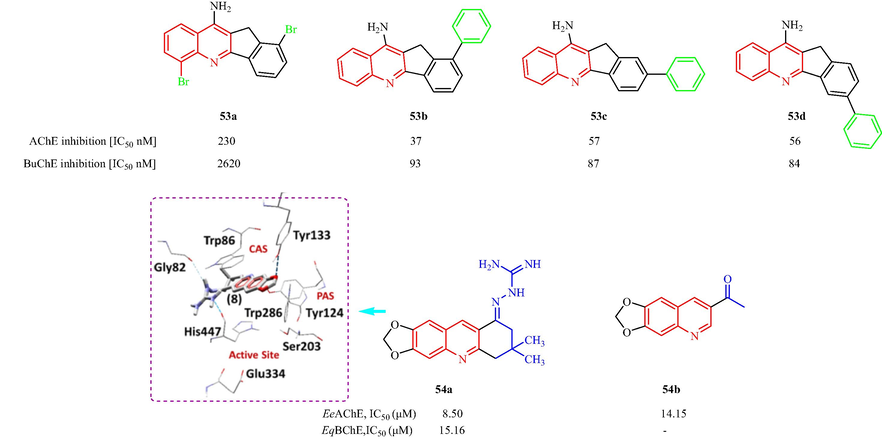 Structural formula tacrine-quinoline and related analogs 53, 54.