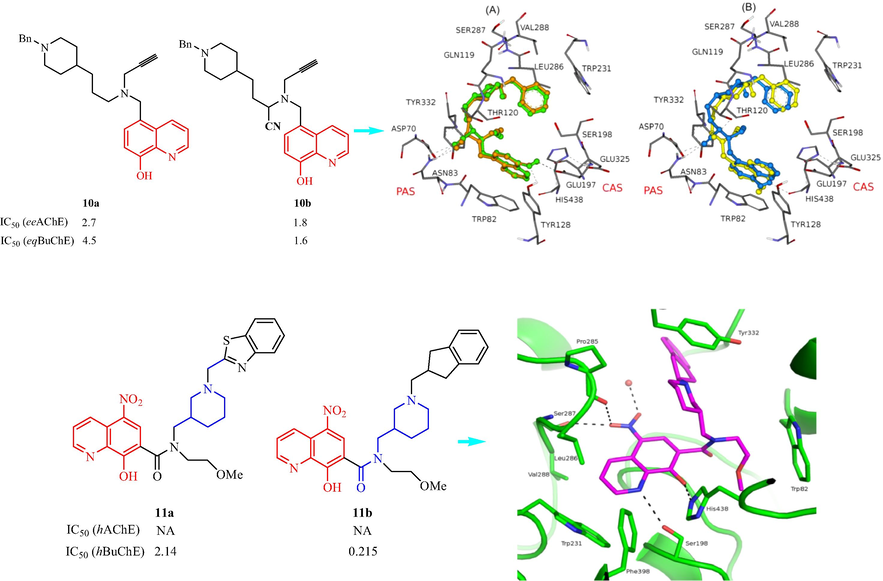 Structural of 8-hydroxyquinoline analogs (10,11) containing piperidine ring.